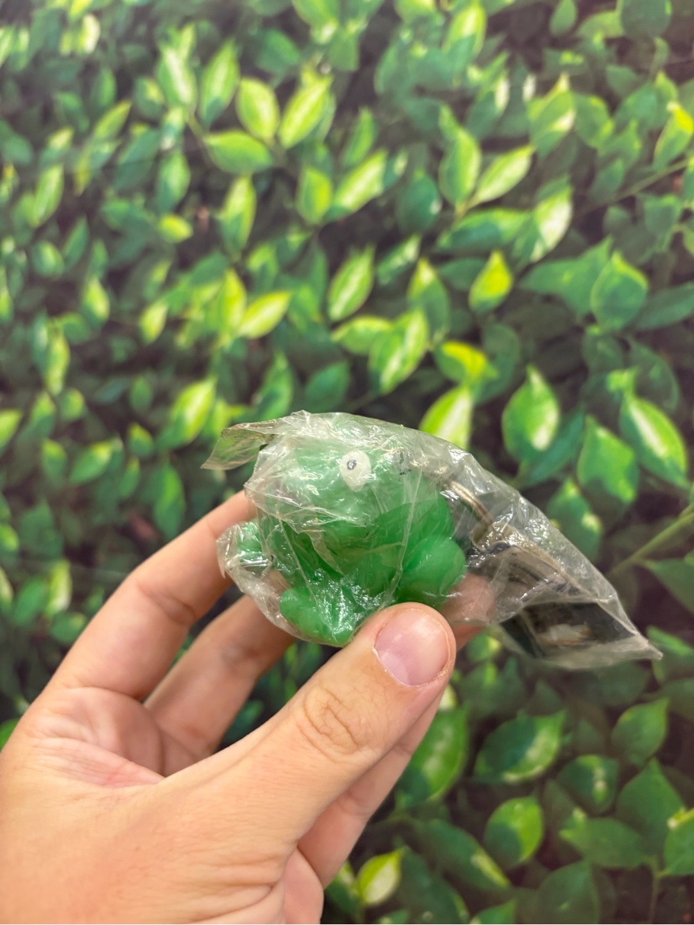 Frog Keychain
